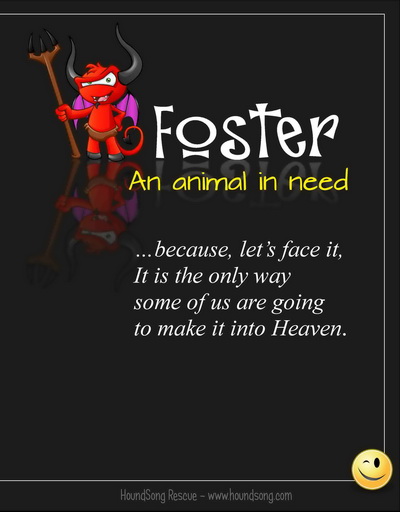 fosterflier2_resize